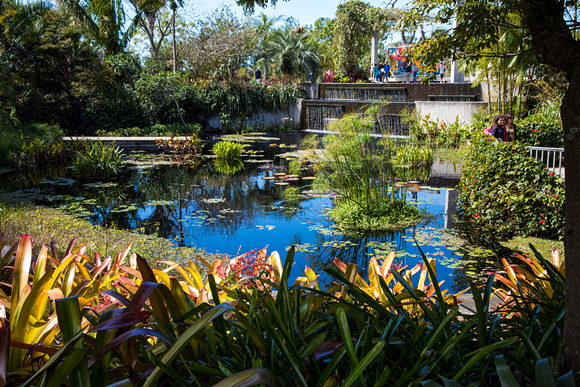 Naples Botanical Garden 2